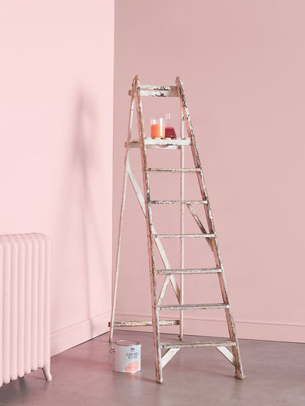 Rustikale, weiße Leiter mit Caparol Icons Farbe vor beigepinker Wand